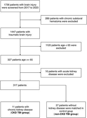 Chronic kidney disease as a predictive factor for poor prognosis in traumatic brain injury among older adults: a case-control study